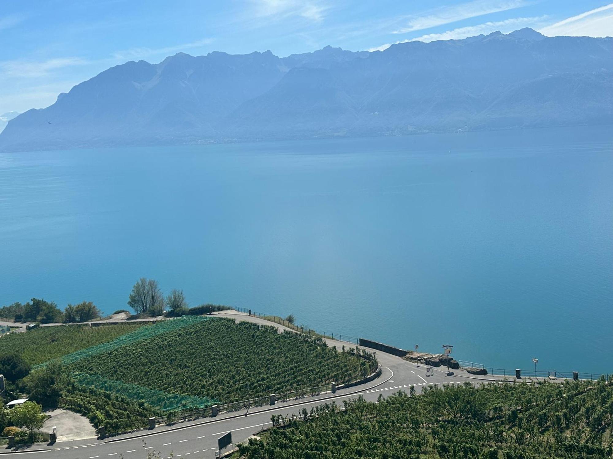 Room With 360° View Overlooking Lake Geneva And Alps Puidoux المظهر الخارجي الصورة